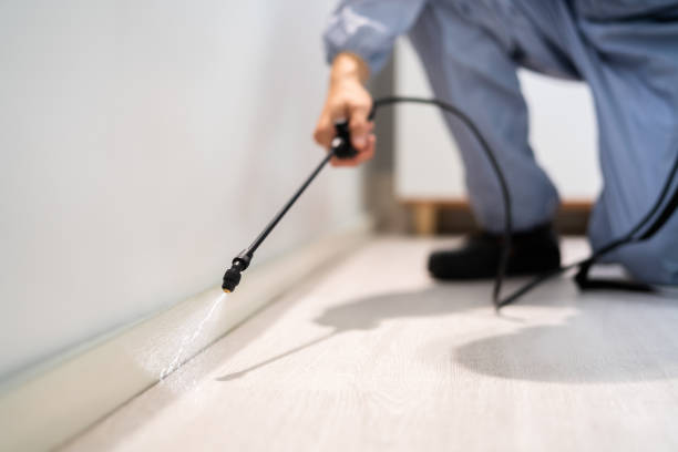 Licensed Cockroach Control service in Mason County County, WA - Nex Pest Control