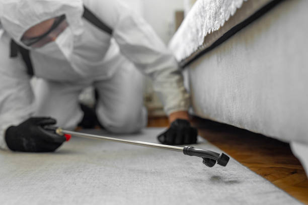 Professional Cockroach Control technician working in Mason County County, WA